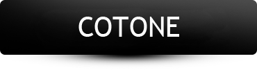Borg el Arab for cottons spinning (EshraTex)